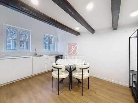Location Appartement 1 pièce 20m² STRASBOURG 67000 - Photo 2