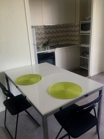 Location Appartement 1 pièce 28m² GRENOBLE 38100 - Photo 3