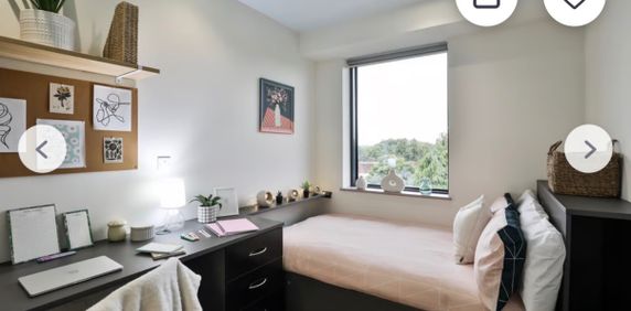 Room in a Shared Flat, Hagley Road, B16 - Photo 2