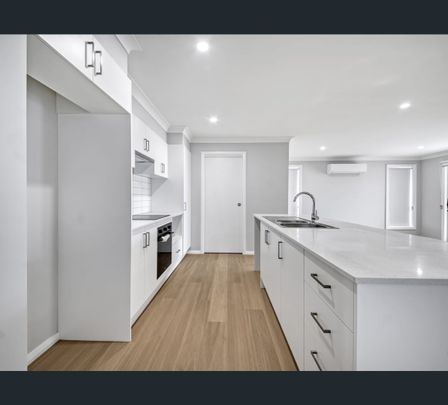 237 Robert Road, Lochinvar, NSW 2321 - Photo 1