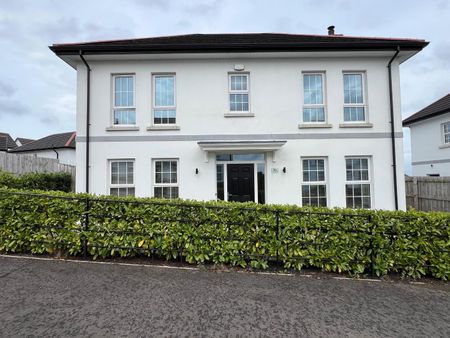 56 Farm Lodge Lane, Magherafelt, Derry, BT45 5HF - Photo 2
