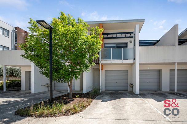 3/6 Sapling Street, Harrison ACT 2914 - Townhouse For Rent | Domain - Photo 1