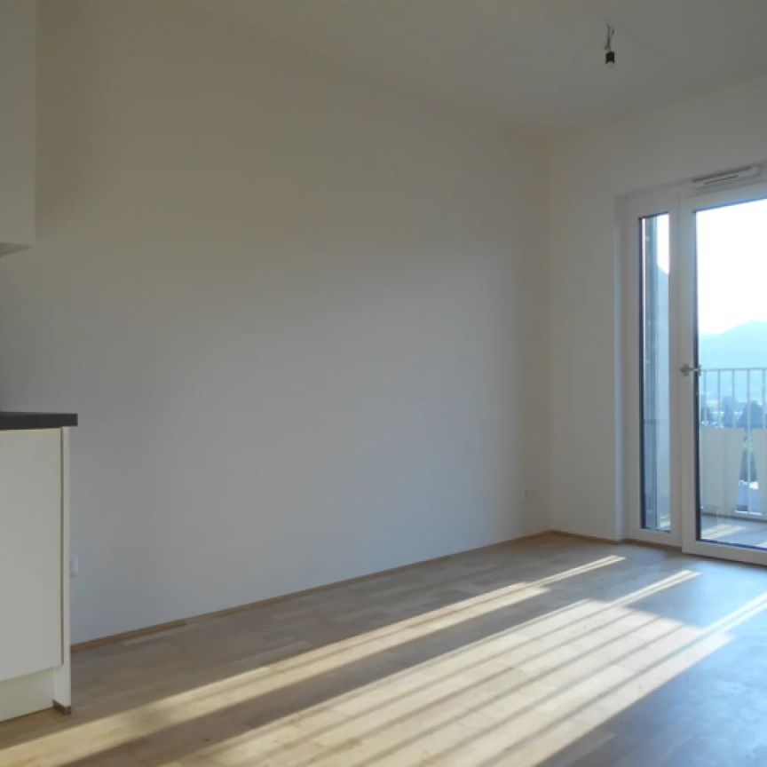 Q5 am PARK sonnige 2ZI mit 9m² West/Balkon - Photo 1