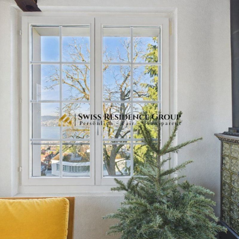 Maisonette with a fantastic view of Thalwil and the lake - Photo 1