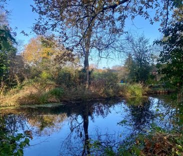 3 bedroom terraced house to rent - Photo 6