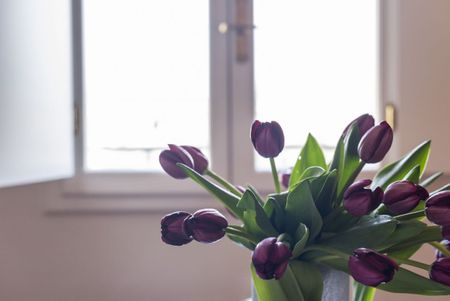 Duomo White - Photo 5