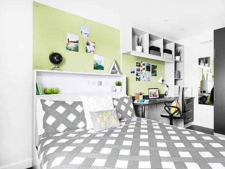 Standard Studio - Photo 4