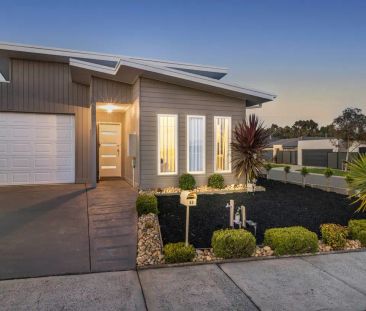 “Entertainment Paradise” - Photo 4