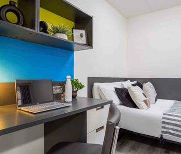 Gold Basement Ensuite - Photo 5