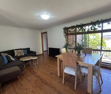 Plenty of Space - Photo 2