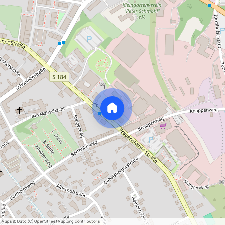 Frauensteiner Straße 47, 09599 Sachsen - Freiberg