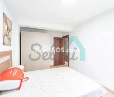 Piso en alquiler en Otero-Villafría-San Lázaro - Foto 4