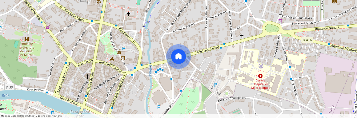 20 Rue Saint-Liesne, 77000 Melun