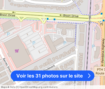 Bison Pointe I - Photo 1