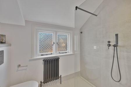 A South-Facing Home with Private South Facing Garden - Photo 4