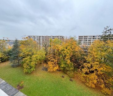 Schönes möbliertes 3.5-Zimmer-Apartment in Eaux-Vives - Foto 6