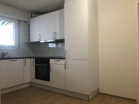 Sanierte 2,5-Zimmerwohnung im Grünen - Photo 4