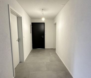 3.5 Zimmer, 80 m² - Foto 1