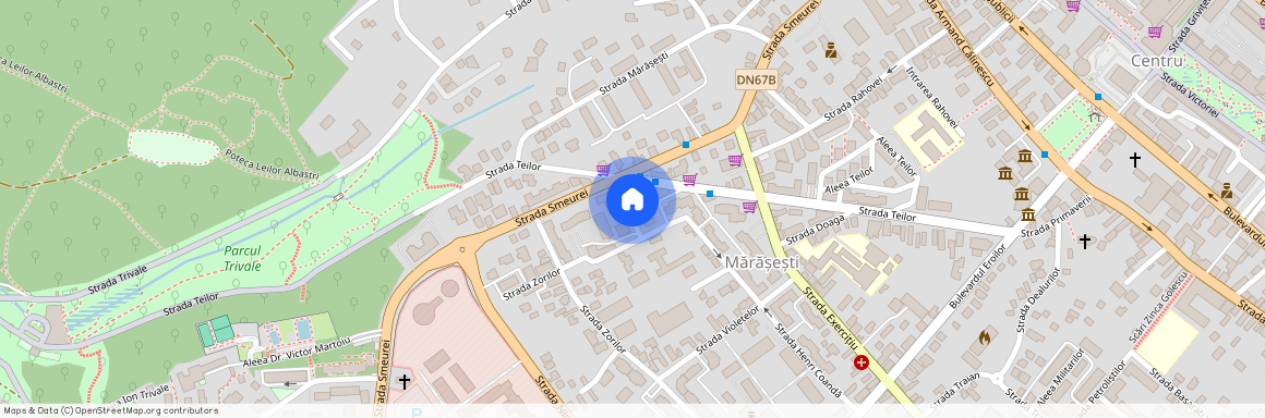 Pitesti, Exercitiu