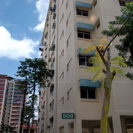 Blk 509 Pangshan Court (Bukit Panjang), HDB 4 Rooms - For Rent - Photo 1