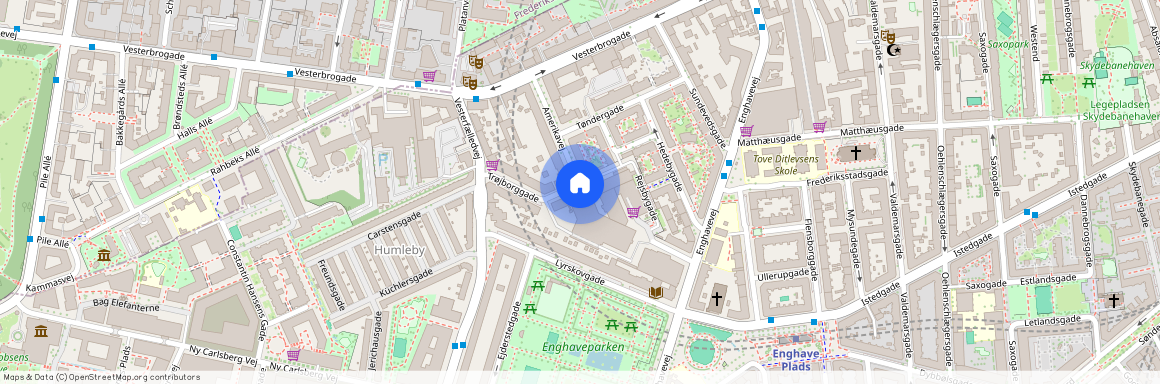 Amerikavej 19A, 3. 301., Amerikavej, 1756 København V