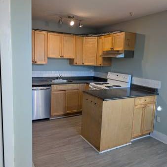 Pet-Friendly 1 Bedroom Apartment for Rent in the Heart of White Rock! - Photo 4