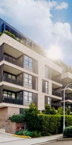 35 Upward St, Leichhardt, Sydney - Photo 4