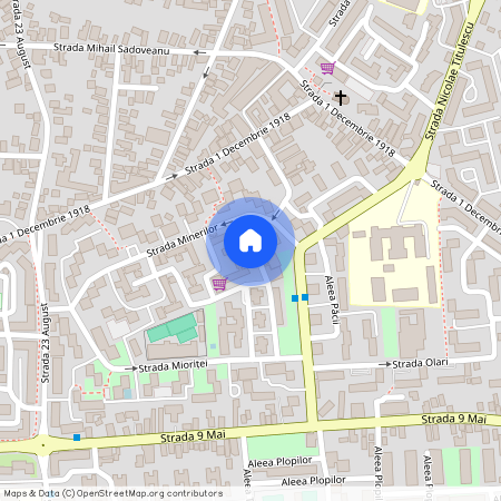 Nicolae Titulescu, Targu Jiu