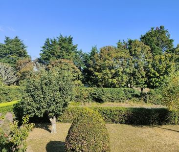 Location Appartement 1 pièce 28m² - Photo 5