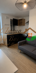 Location Appartement 1 pièce 29m² TOURNON SUR RHONE 07300 - Photo 4