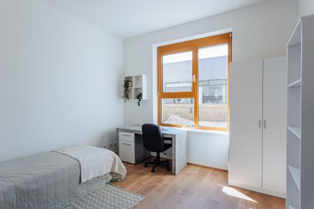 Locker & jung - Zimmer in 3er WG für Erstsemestrige oder WG-Einsteiger:innen - Photo 2