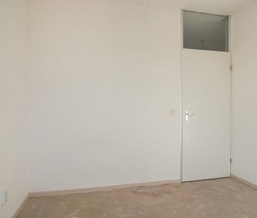 Rumpler, 6, Soesterberg - Photo 6