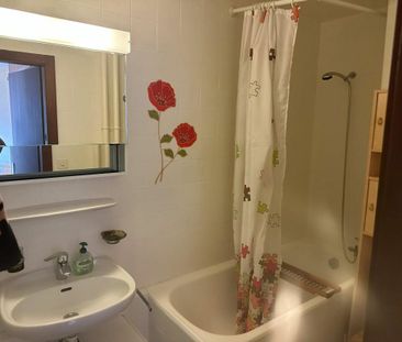 Appartement de 2 pièces meublé au coeur de Torgon - Photo 4