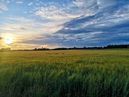 Talby: Ljus härlig trea i lantlig miljö - Photo 2