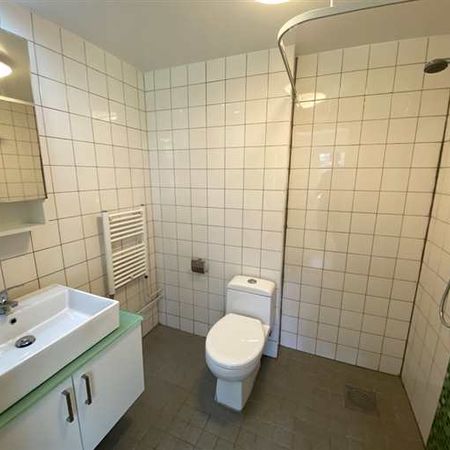 1 rum och kök. Badrum med dusch, 22 m - Photo 3