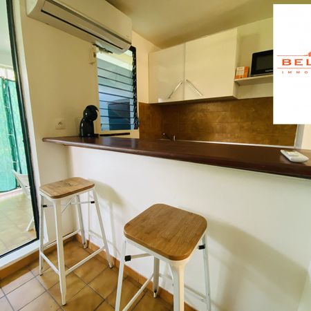 Location Appartement 1 pièce 24m² SCHOELCHER 97233 - Photo 3