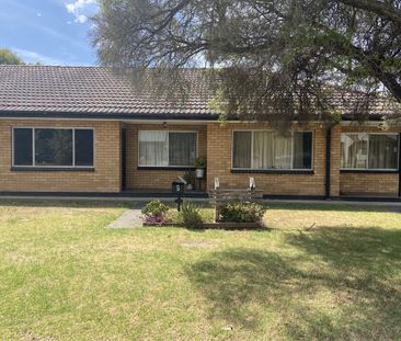 3/516 Abercorn Street, South Albury NSW 2640 - Apartment For Rent |... - Photo 1
