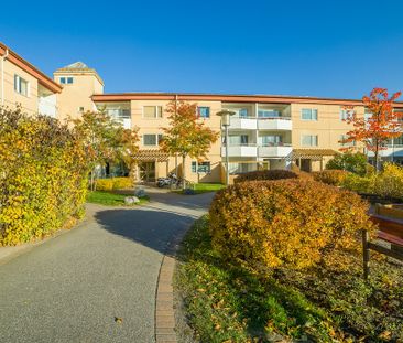 Vågens Gata 460B, Brandbergen - Photo 6