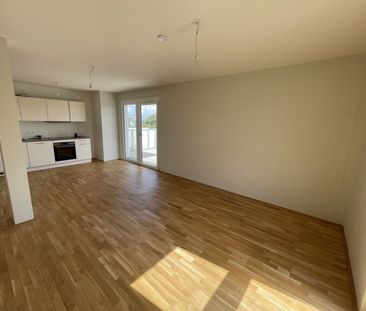 GROSSE TERRASSE: 3-Zimmer-Neubau AB SOFORT - Photo 2