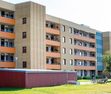 Anderstorg 10 C - Photo 4