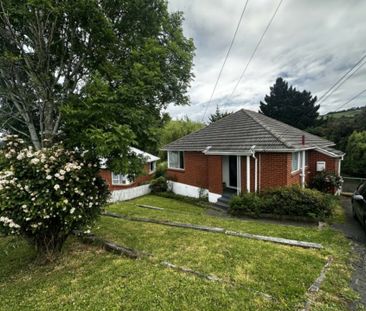 Peace and quiet with a fabulous backyard - Dog Friendly - Photo 2