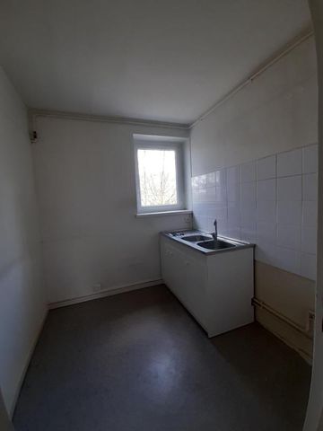 T4-120 RUE LEON JOUHAUX 38100 GRENOBLE - Photo 2