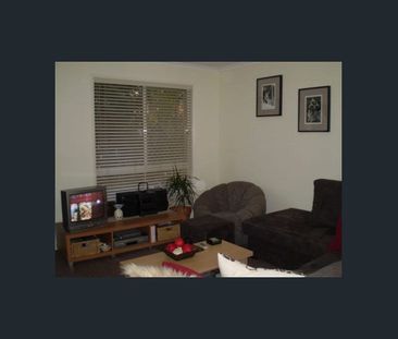 Location Location Location! (Rent increase May 2027) - Photo 1