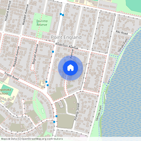 42 Kawiti Avenue, Auckland City