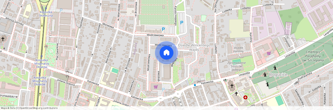 ul. Modrzewiowa, Bogucice, Katowice, śląskie