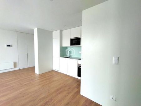 Apartamento T1 - Photo 4