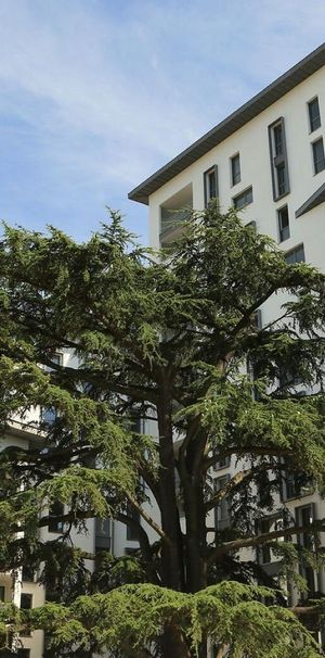 location Appartement T4 DE 83.2m² À MASSY - Photo 1