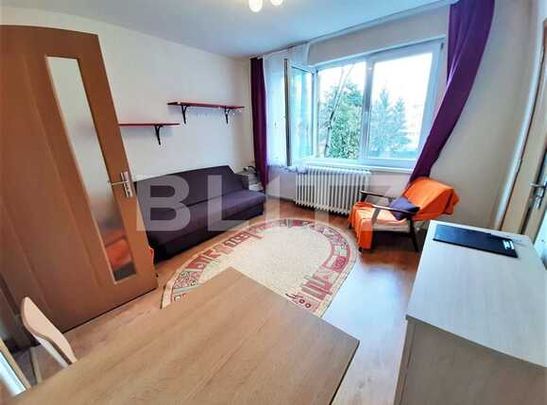 1 camera, 25 mp, Pet Friendly, zona strazii Septimiu Albinii - Fotografie 1