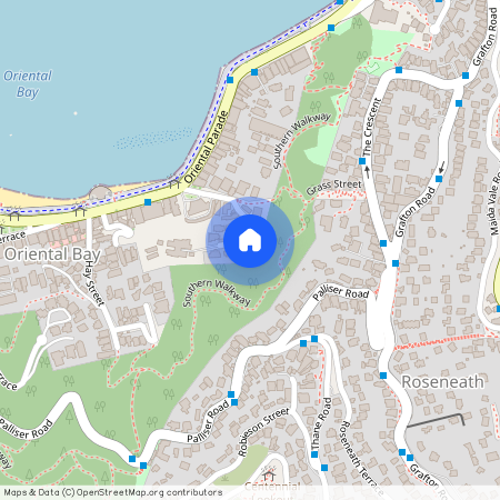 C/1 Wilkinson Street, Oriental Bay, Wellington City