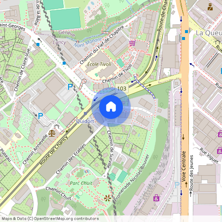 1213, Petit-Lancy, Chemin De Surville, 1